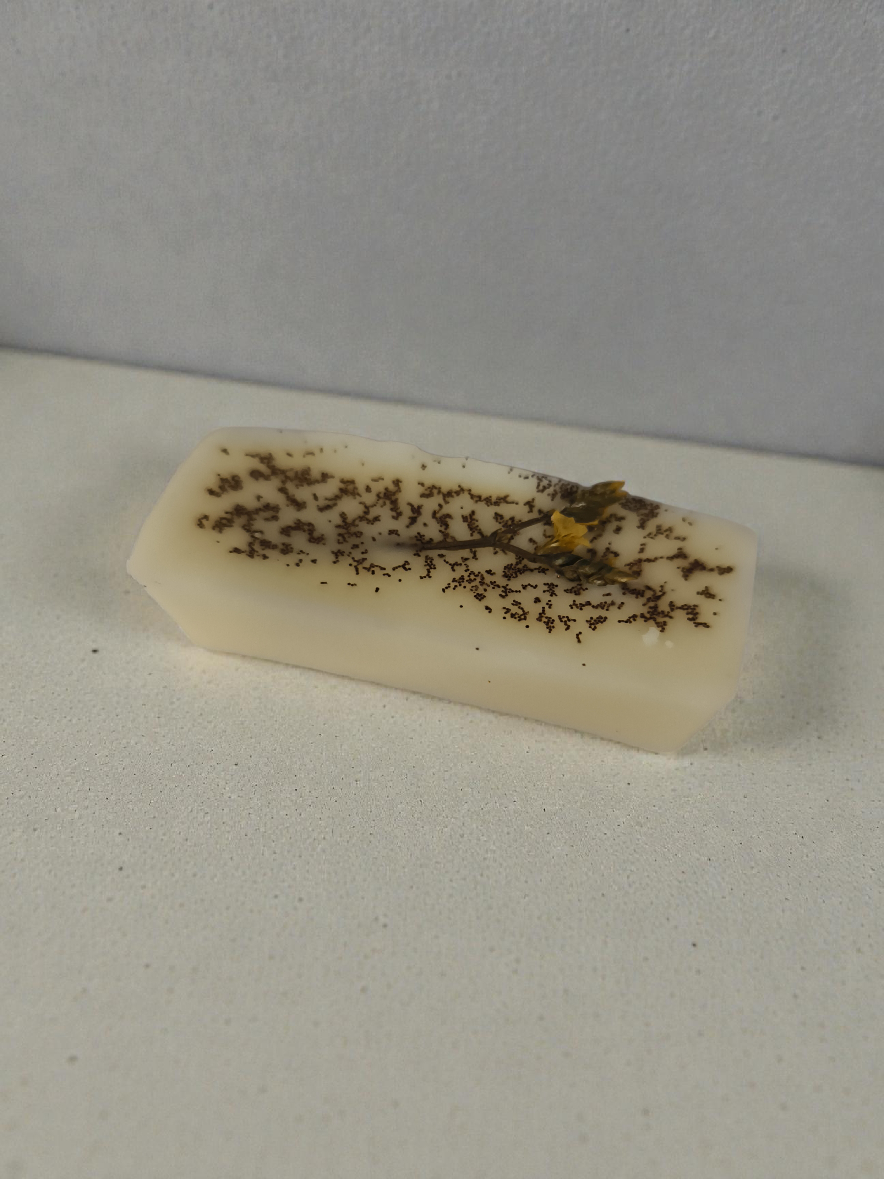 Fondant Parfumé — Panettone (≈ 17 g)